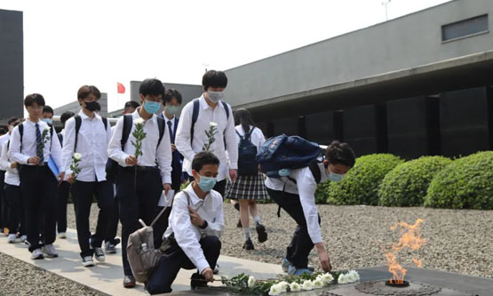 紫金草国际和平学校