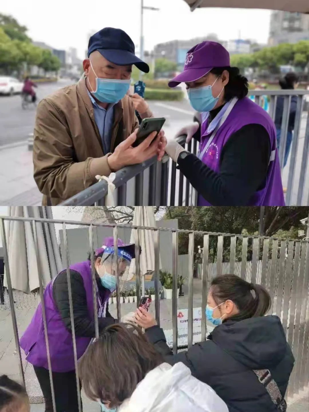 紫金草之夜倒计时1天他们是紫金草优秀志愿者