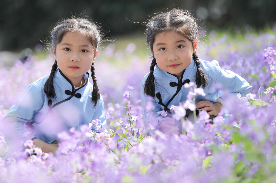 紫金草女孩评选结果出炉啦