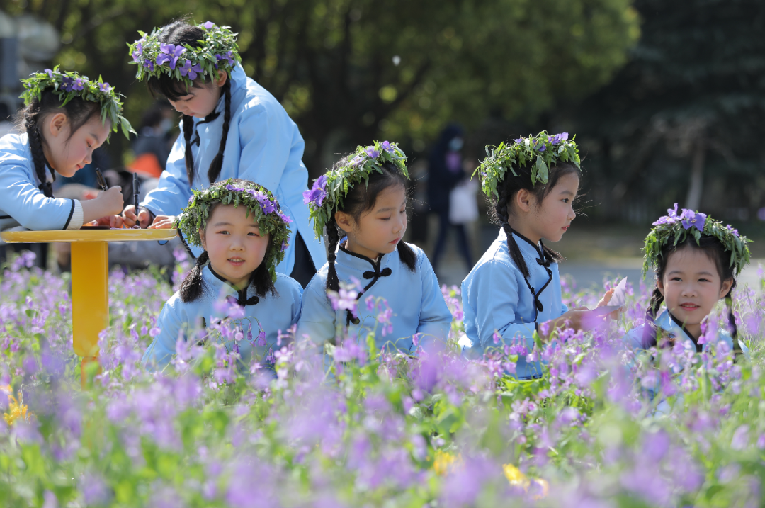 紫金草女孩评选结果出炉啦